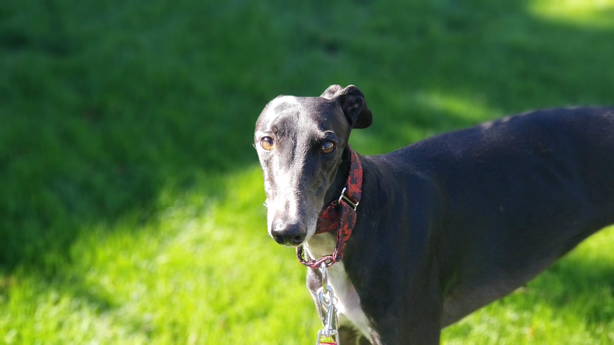 🍉 𝓣𝓒𝓕𝓢🍉 tweet media