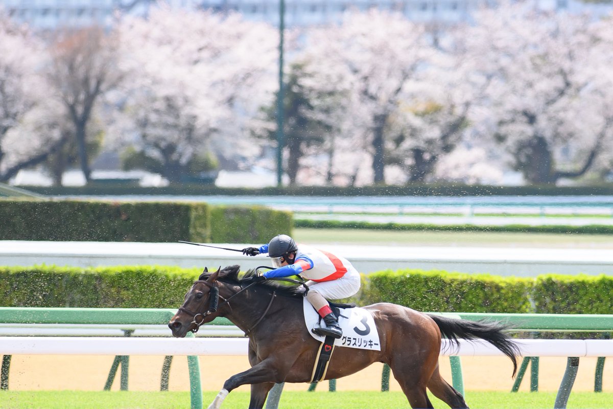 ใใ๐ซง๐ชผ tweet media