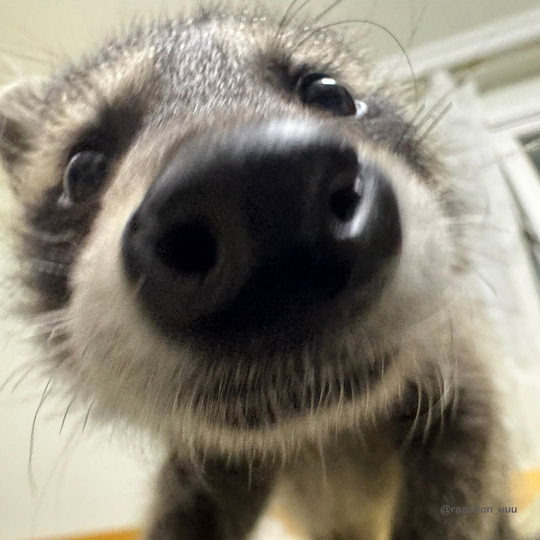 Lars 🔜 TFF tweet media