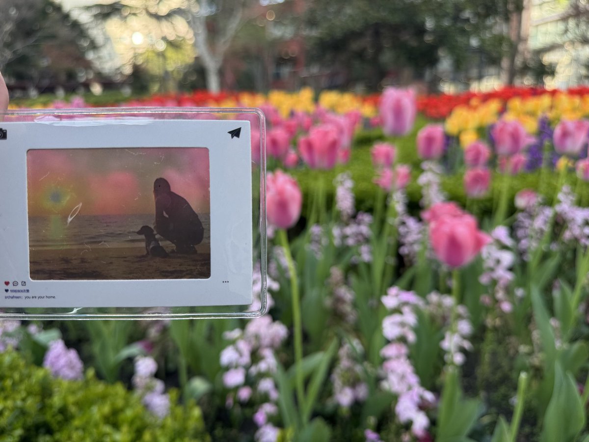 FreenTimeMachine tweet media