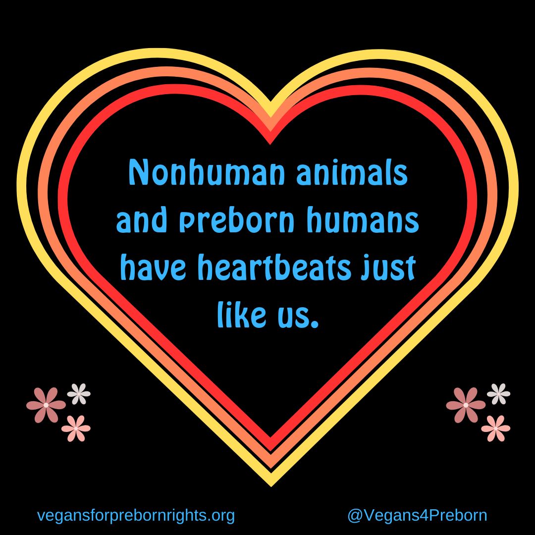 Let their hearts beat.
#vegan #prolife #veganism #abortion #prochoice
