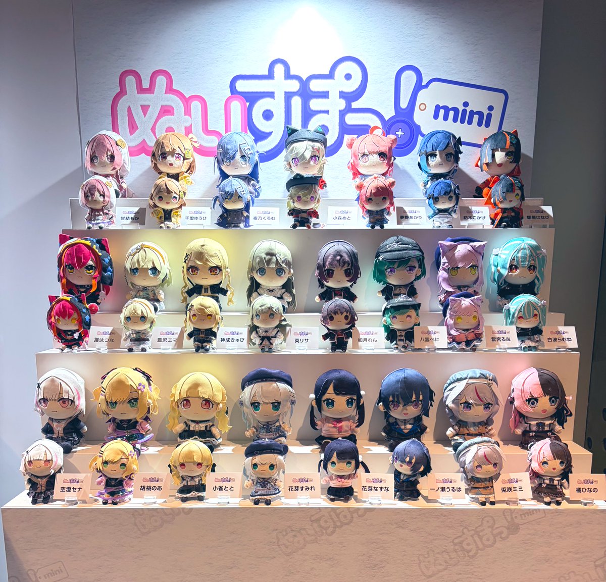 紅井べにこ🔥 tweet media