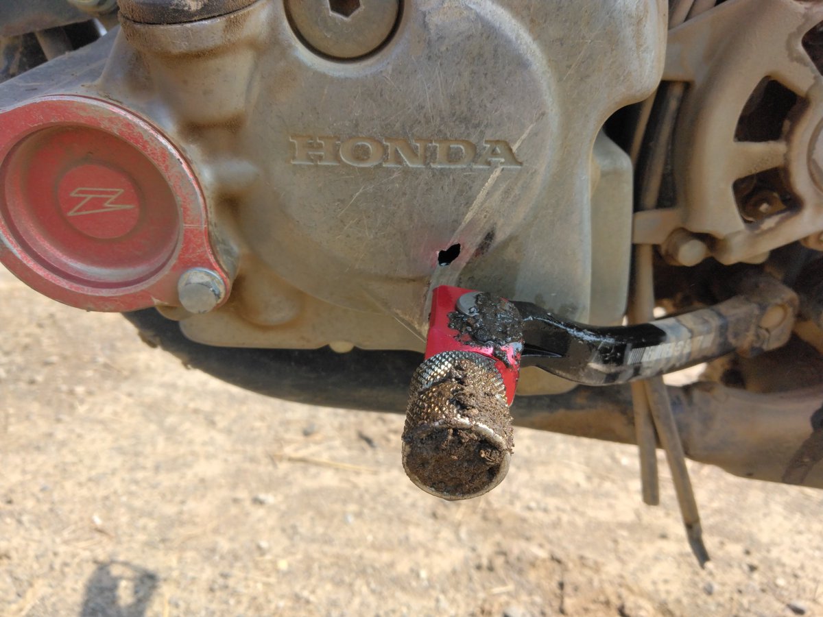 とりとりあたま tweet media