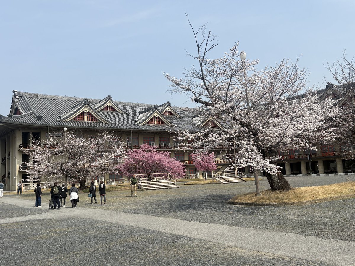 じゅんじゅん tweet media