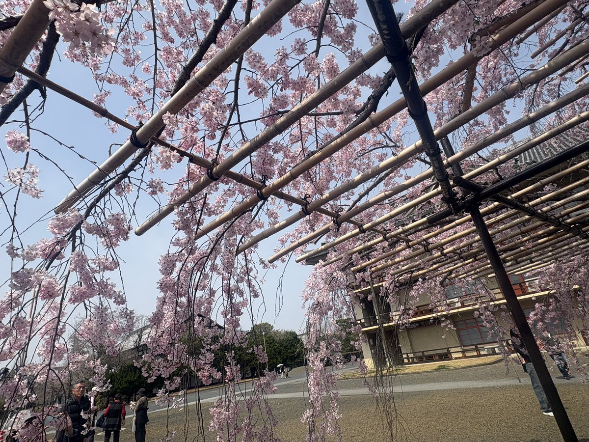 じゅんじゅん tweet media