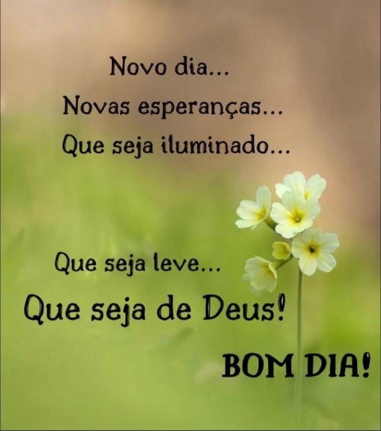 LONGO 🇧🇷🇦🇺🇮🇹🇬🇩🇵🇹🇧🇧🇦🇷🇲🇶 tweet media