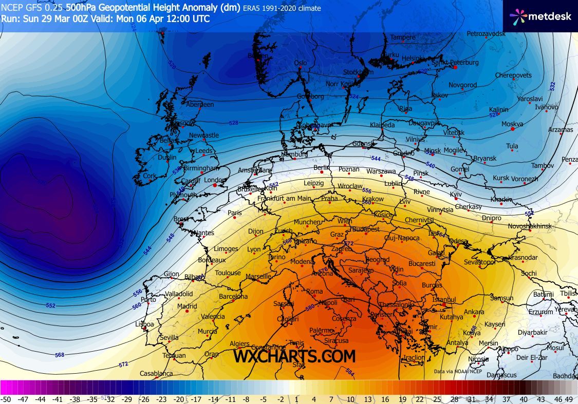 Marco M.M. tweet media