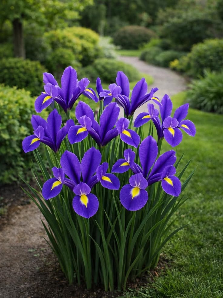 Flowers world tweet media