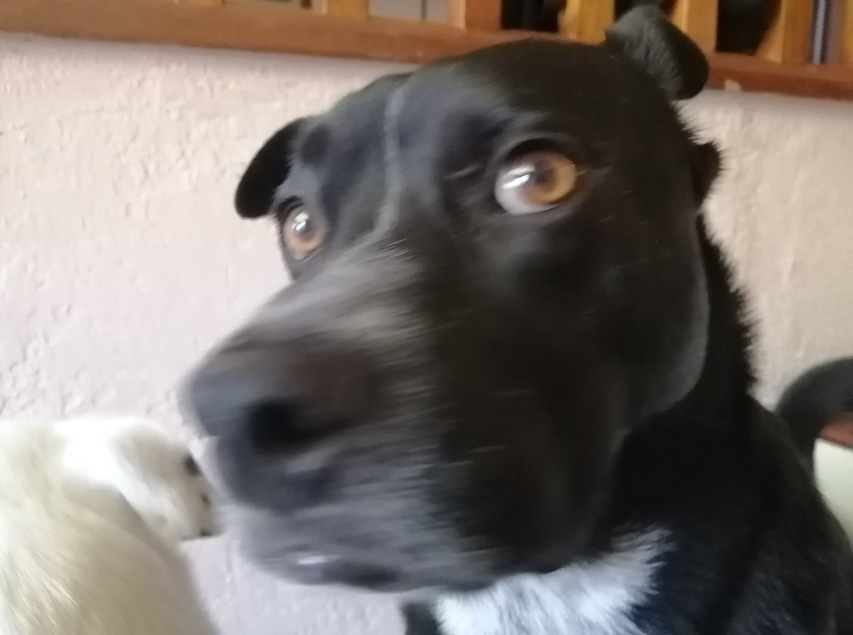 Wignut🫠|| Unusual Mickey Faces tweet media