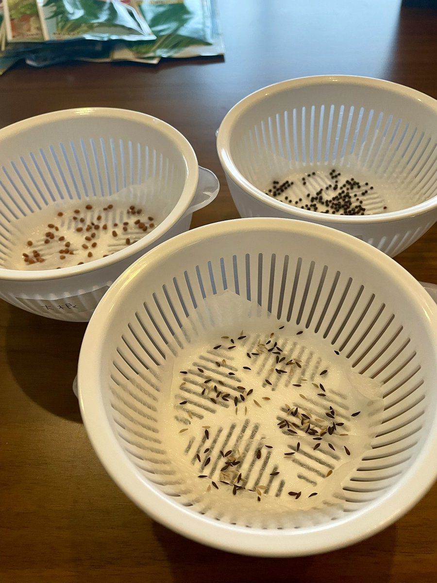 いちじく tweet media