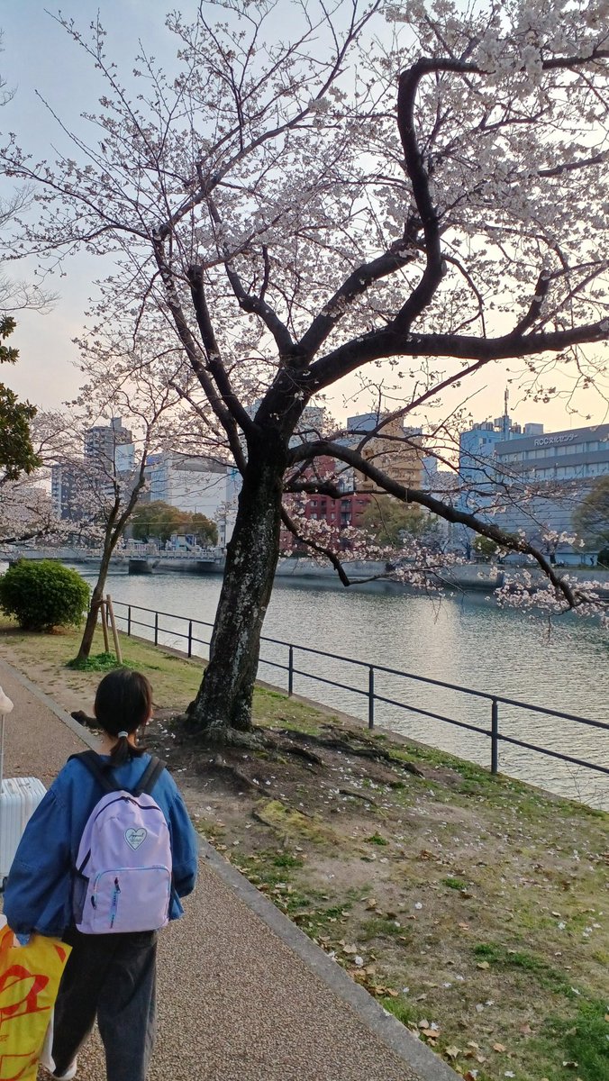 まぁちゃん tweet media