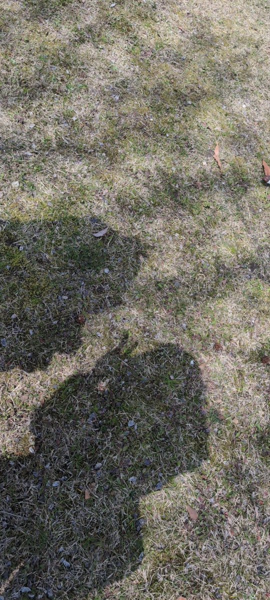 箱 🐸🐟️　PayPay2日目のみ参加 李苺鈴 tweet media