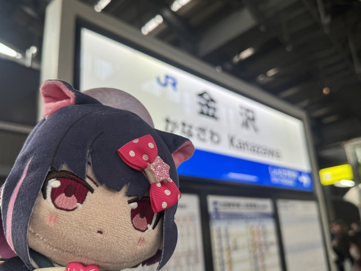 ぬちお / NUCHIO tweet media