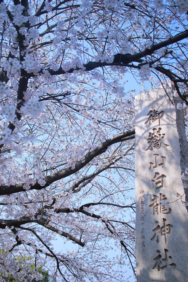 noritabi317's tweet photo. 春のうた🌸
#御嶽山白龍神社 
#桜 
#さくら https://t.co/V7ywLSclrI