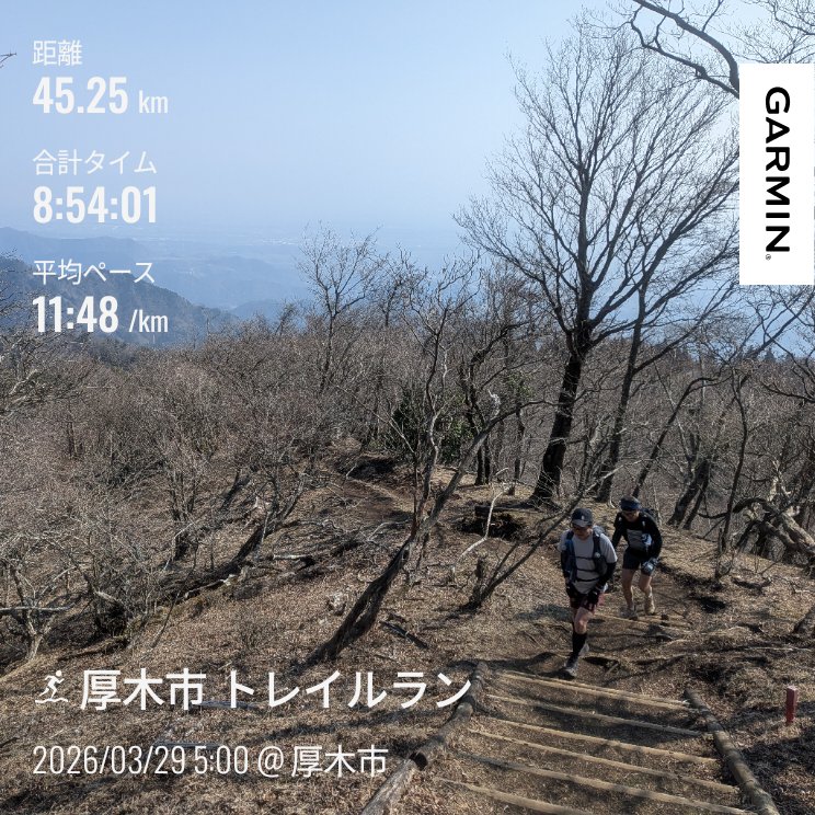 みやかわ@山のお絵描き屋 tweet media