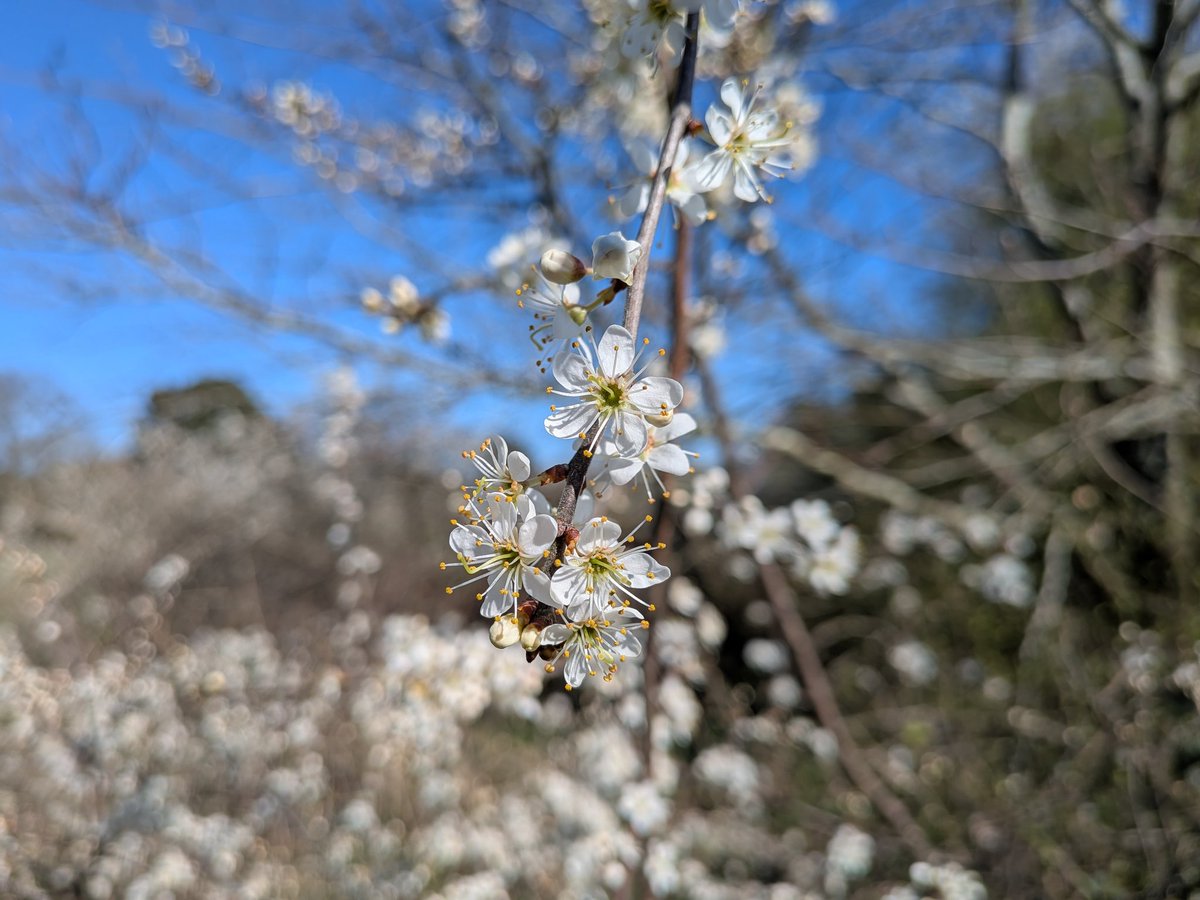 Catherine Cawley tweet media