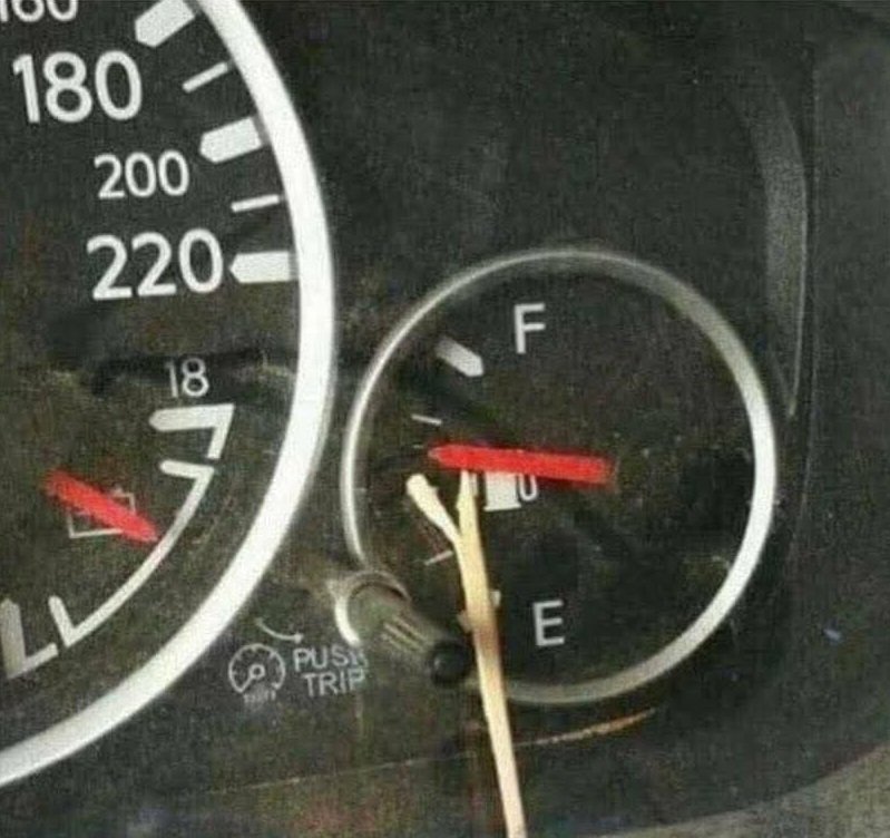 Delphine tweet media