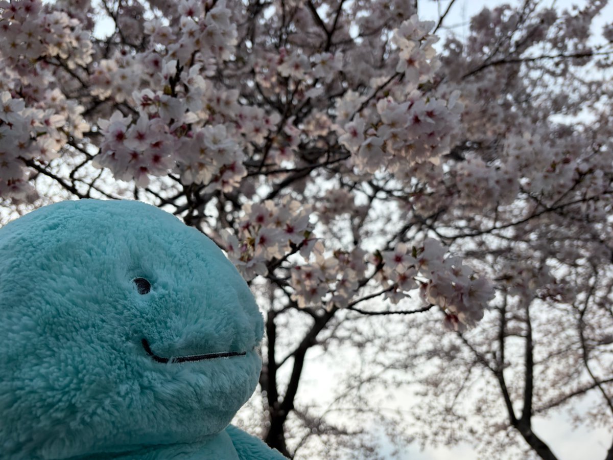 みんなとの生活‼️ tweet media