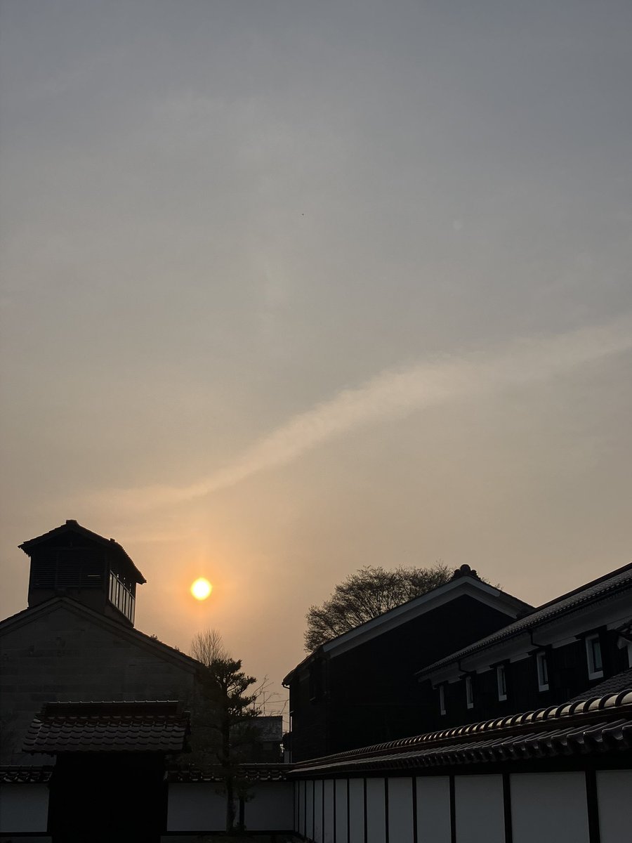 ハウスダイバージュニア tweet media