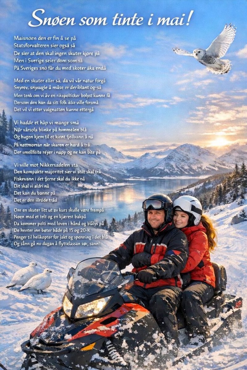 Torbjørn Fagermo 🇺🇦 tweet media