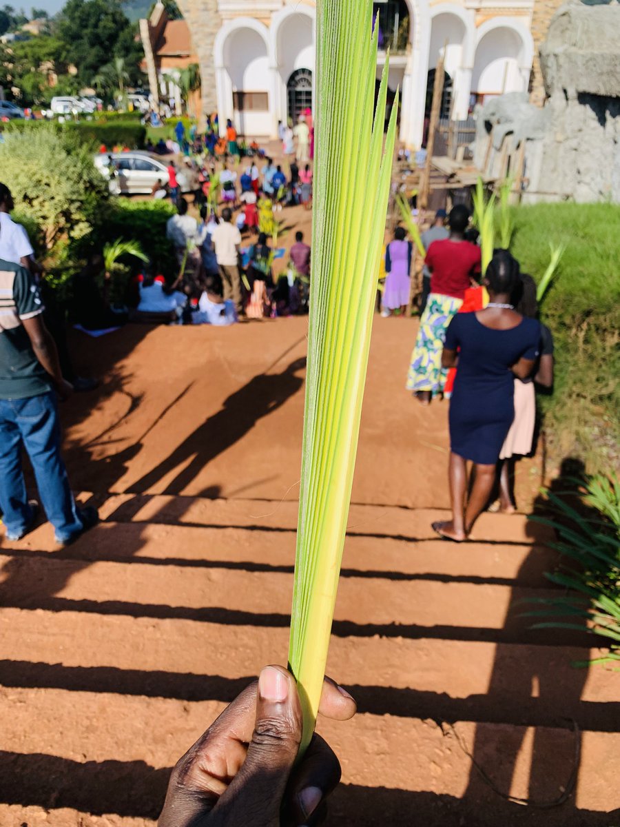 THE TUNDRA GUY tweet media