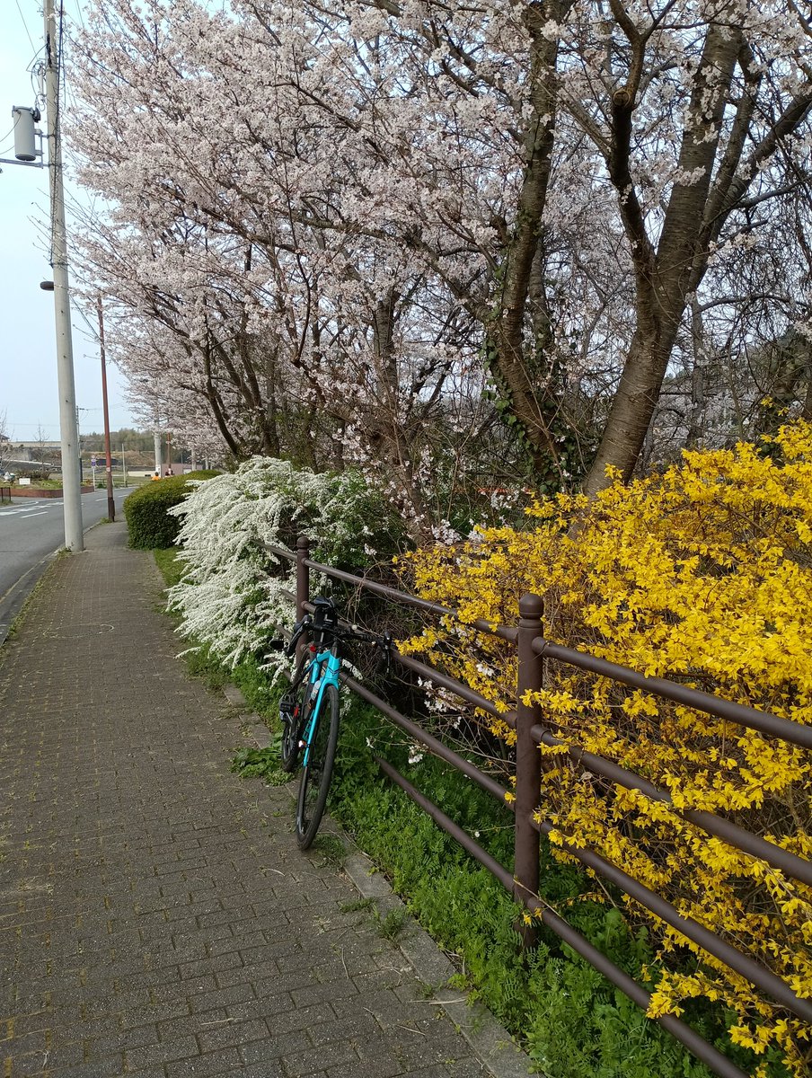 Kouichi@NHK(日本貧脚協会)会長 tweet media