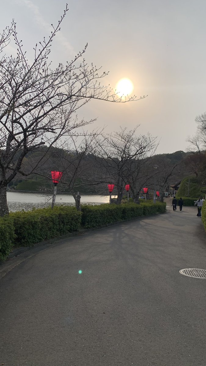 aa aa kacamata tweet media