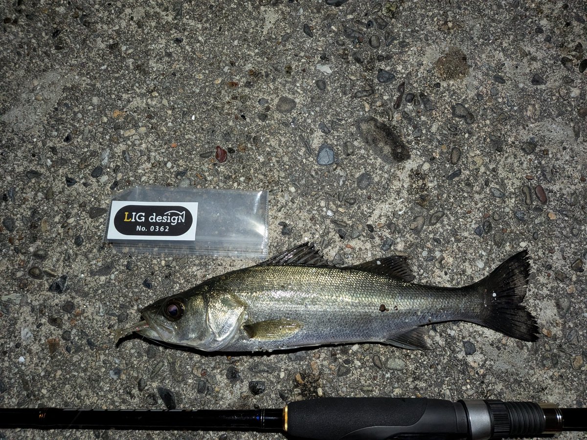 のすけ tweet media