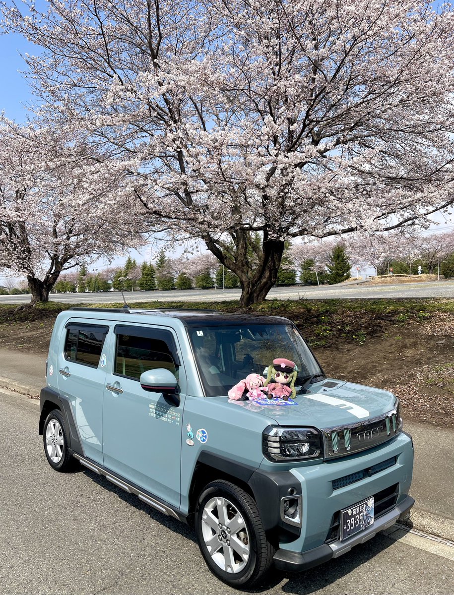 ペンペン✨次のミライで tweet media