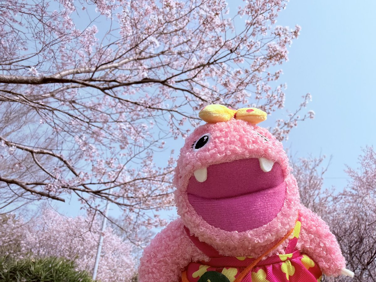 いけいけがんこちゃん tweet media