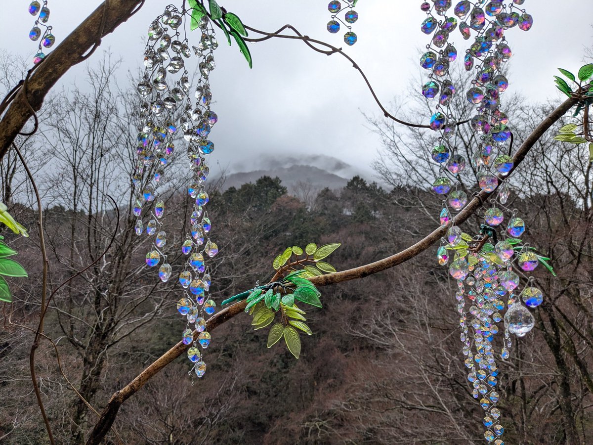 Faf 🐺🍵 tweet media