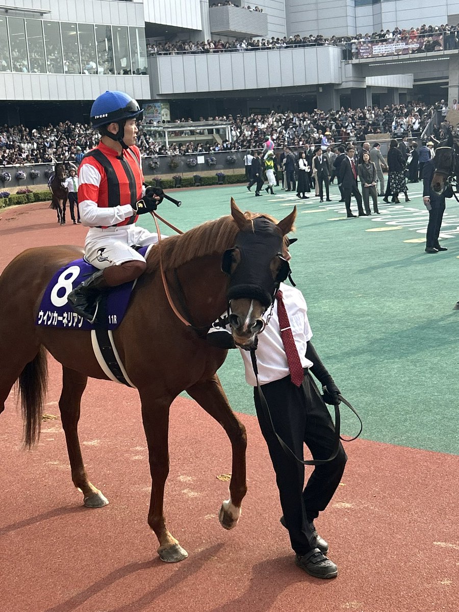 シラユキ tweet media