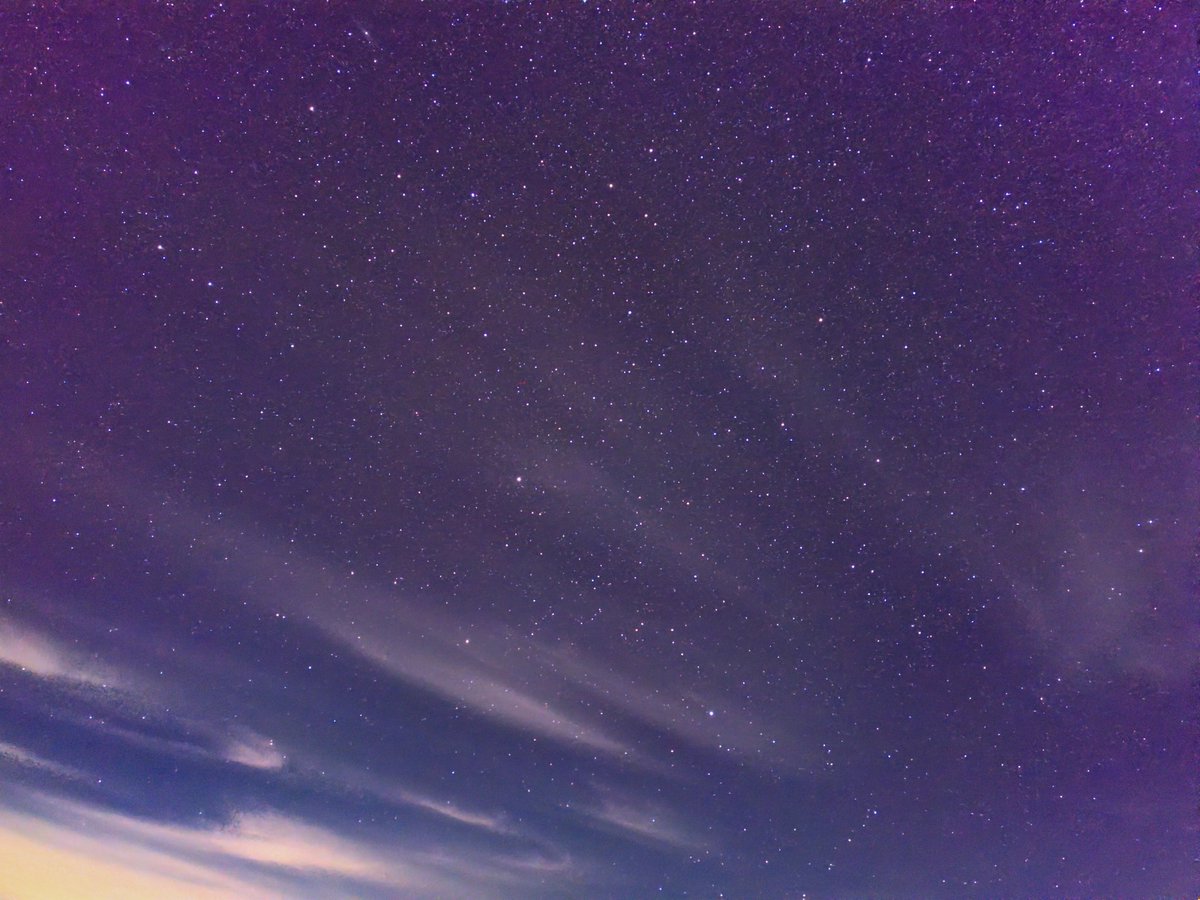 ☁️とも☄️＠すまほしみん🐰🍫🥕🍒🍮🐈🌸🧠🩷 tweet media