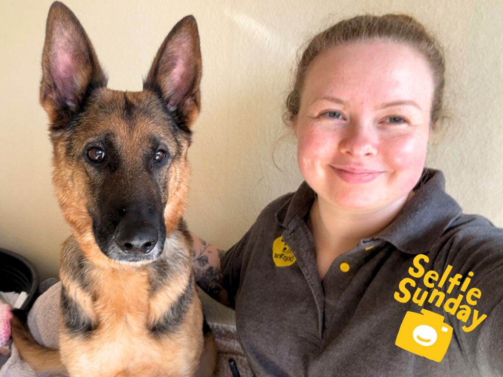 DTCardiff's tweet image. 🤳🏻 It's a #SelfieSunday and Pistachio is enjoying some 121 kennel cuddles with her friend Abbey this Sunday morning 😊 There's nothing like spending some quality time with your bestie 💕

#DogsTrust #AdoptDontShop #SundayVibes #Selfie