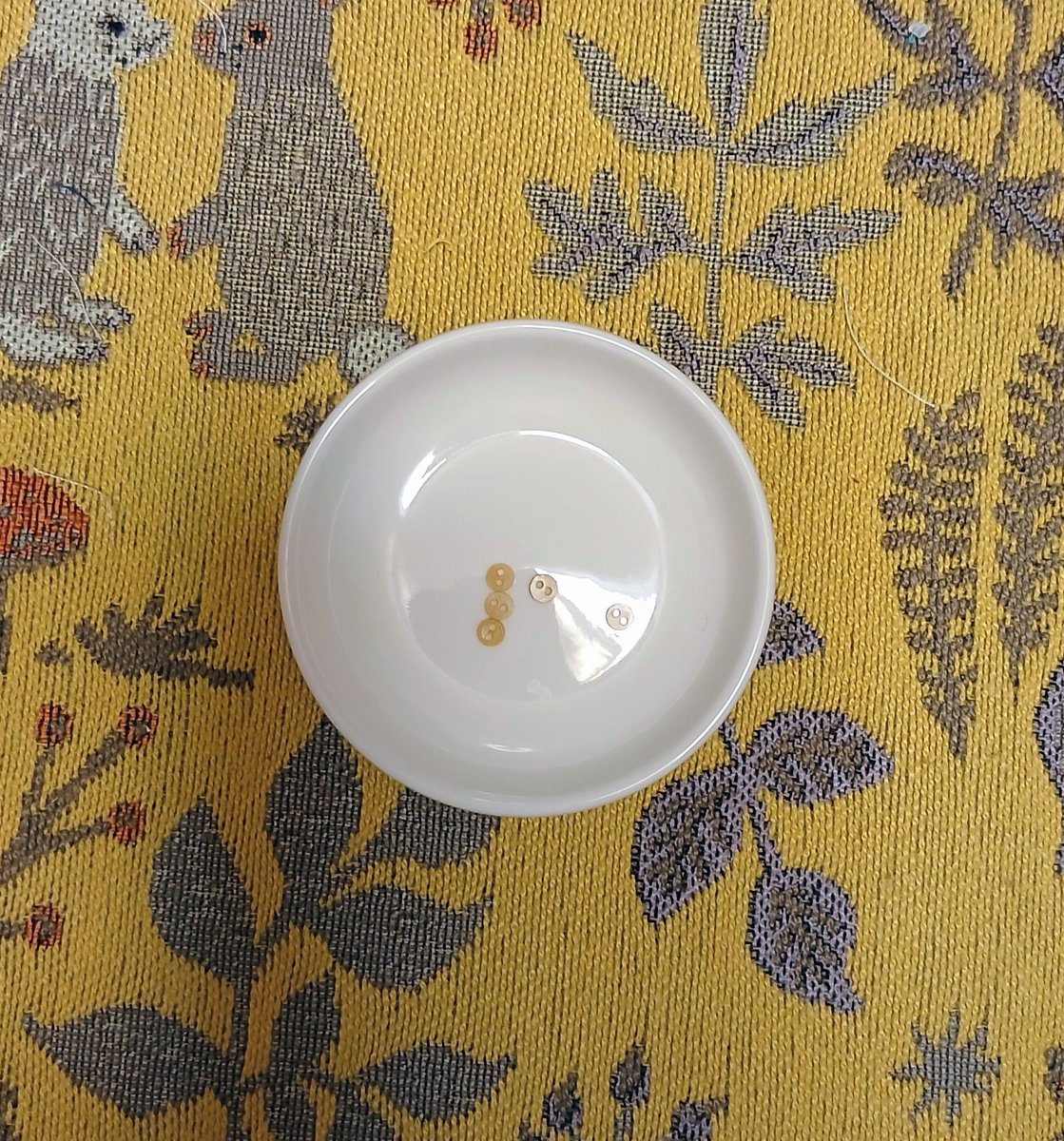 今朝、ドール服に付けるボタンを一つ机の下に落とした。落とした付近をくまなく探したけれど見つからず。数時間後、足元に落ちているのを見つけた。何故？ここはさっき探したのに、あなた何処に隠れていたの？(と、いうこと多々ありますよね😂)