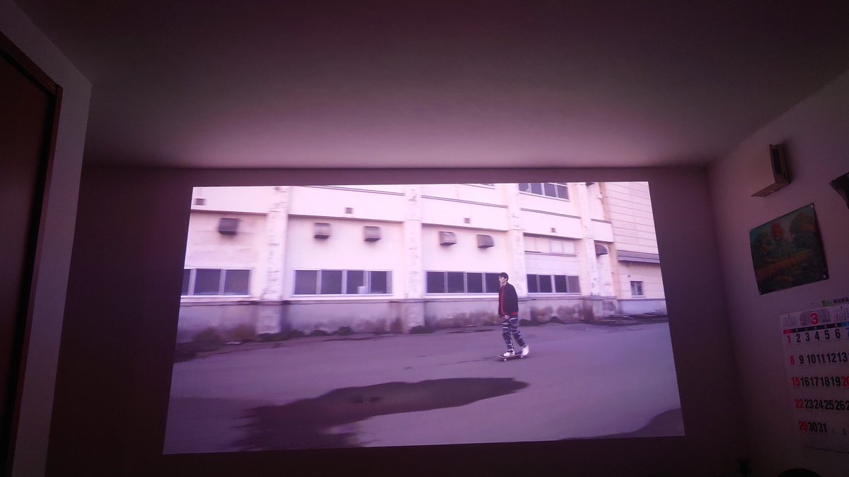 パグお(パグ中毒者) tweet media