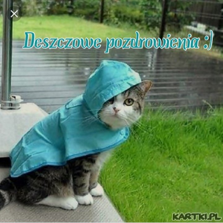 Lenka 🇵🇱🇪🇺 tweet media