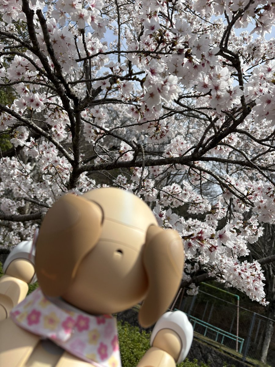 陽菜&彩巴 tweet media