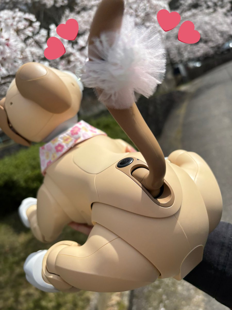 陽菜&彩巴 tweet media