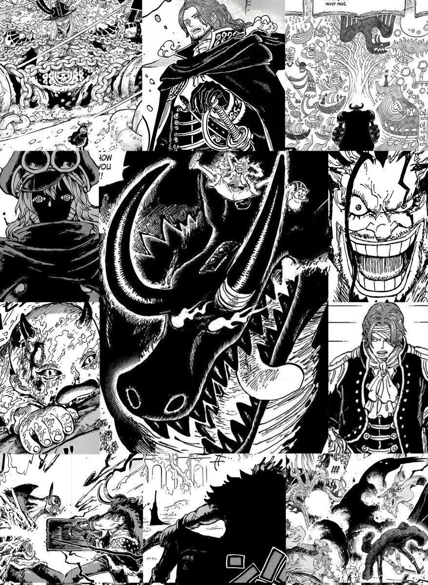 One Piece Daily tweet media