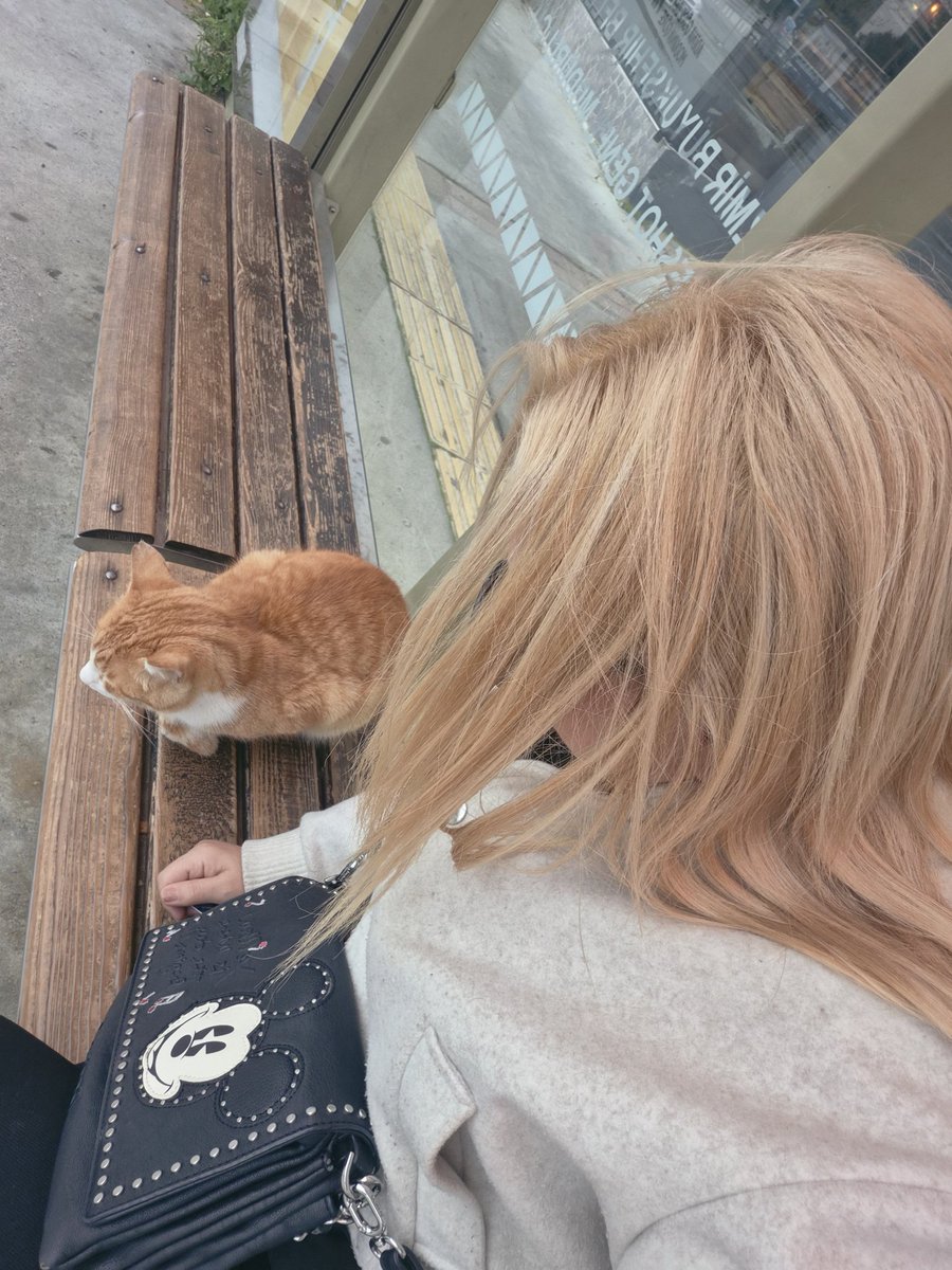 ✨️TARÇIN✨️ tweet media