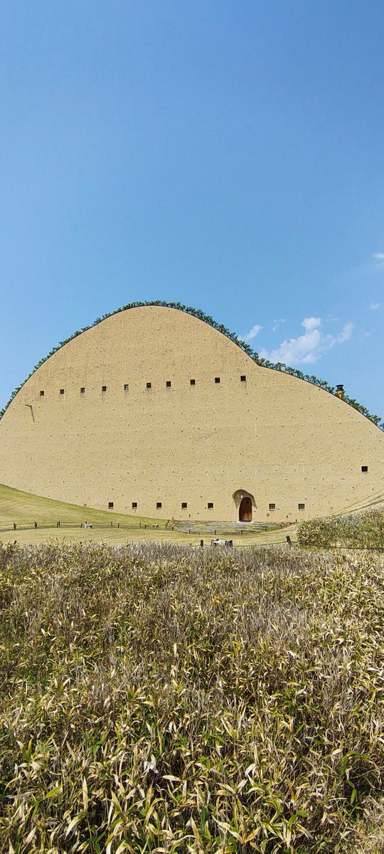 ギフKT869/JS2IID tweet media