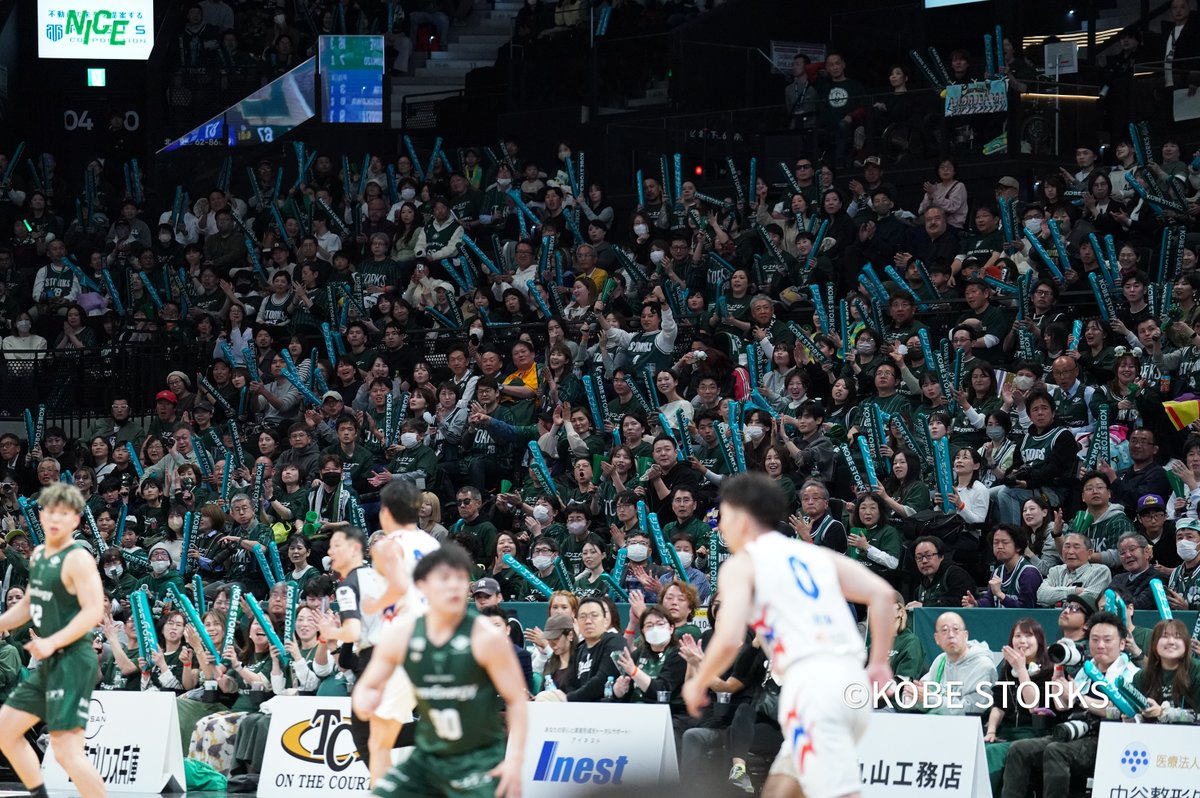 神戸ストークス公式 tweet media