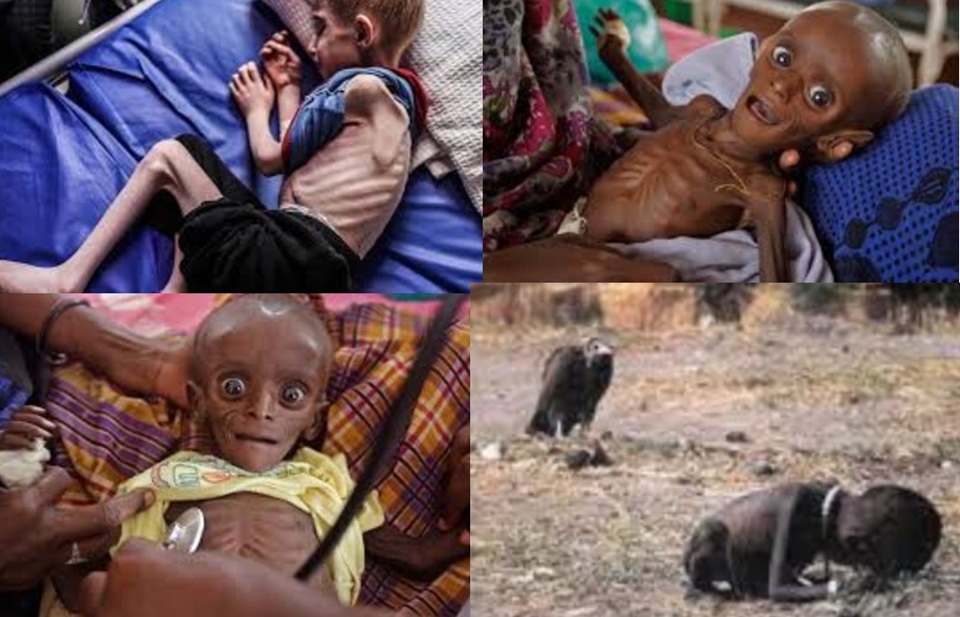 HB_Henderson tweet media