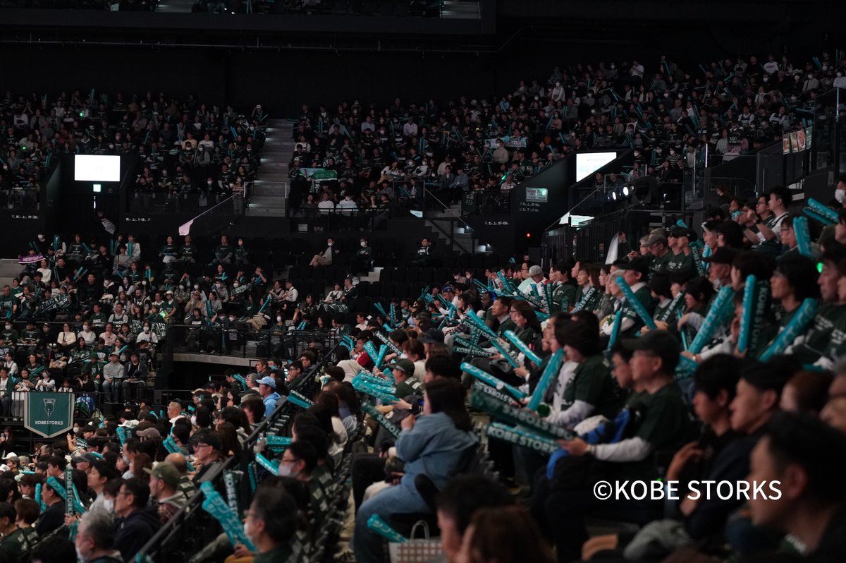 神戸ストークス公式 tweet media