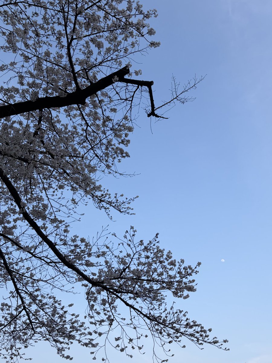 ru（ル） tweet media