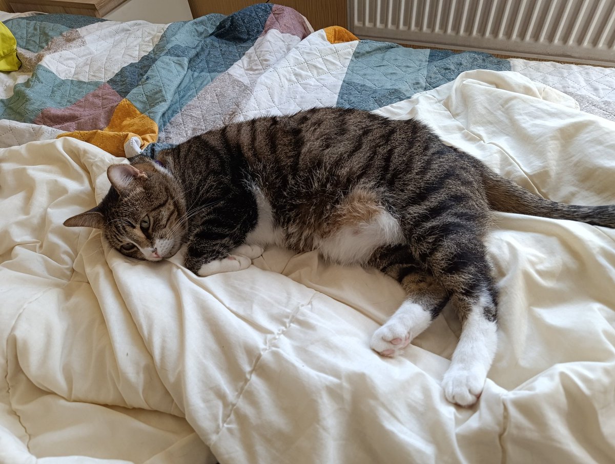 Димка на колесе tweet media