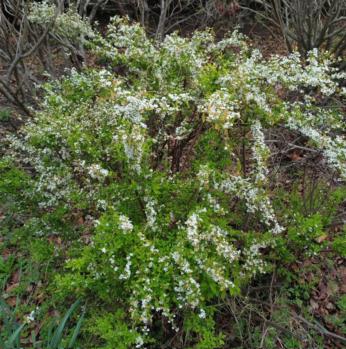 ゆうゆう＠相互フォロー募集中 tweet media