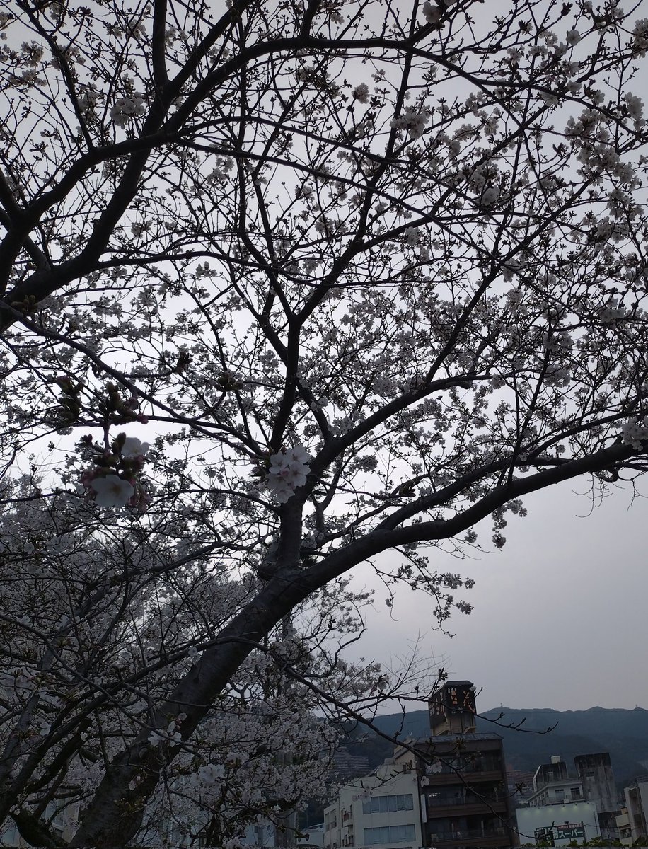 ゆうゆう＠相互フォロー募集中 tweet media