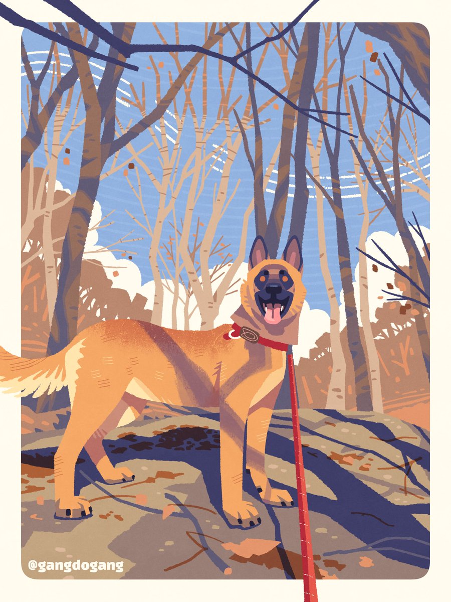 강아지 강도 tweet media